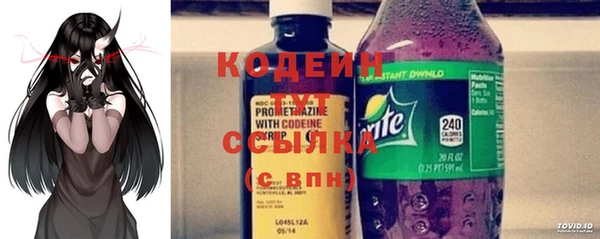 соль ск Верхний Тагил