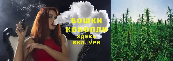 spice Бугульма